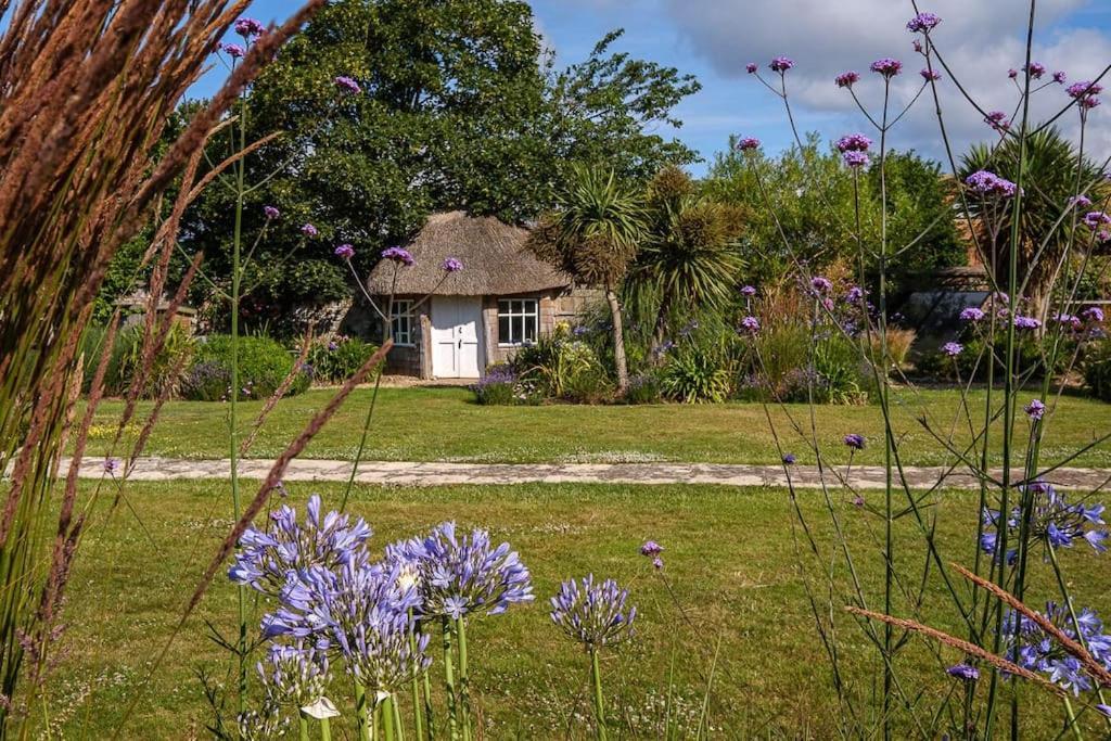 The Beach House-Devon- On The Beach- Sleeps 20 Villa Exmouth Luaran gambar